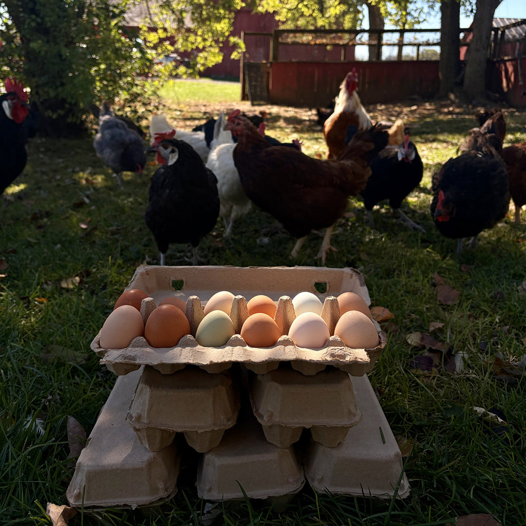 Pasture-Raised Farm Fresh Eggs | Moosehead Farms